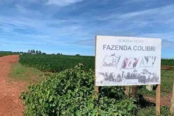 Governo leiloa fazenda de ex-bicheiro por R$ 11,9 milhões