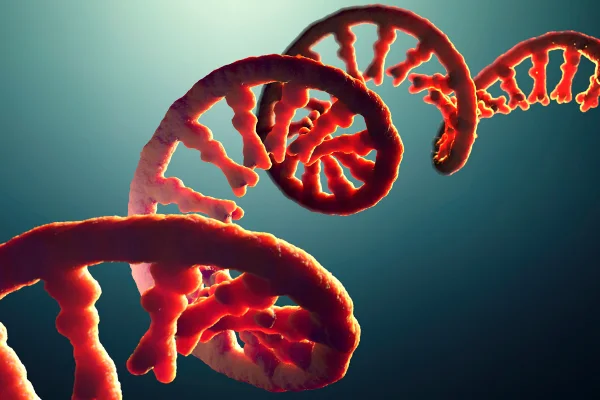 Ilustração colorida que simula uma fita de RNA - Metrópoles.