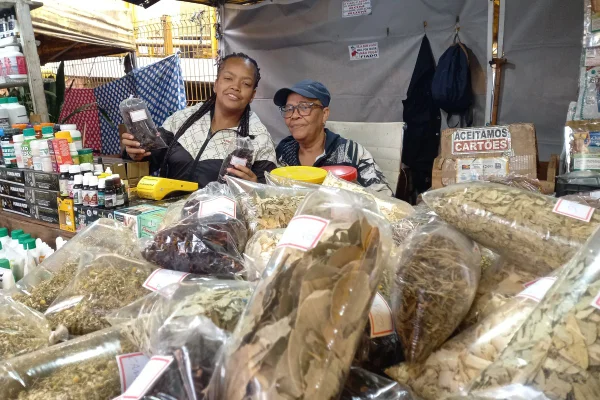 Imagem mostra local de venda de chás - Metrópoles