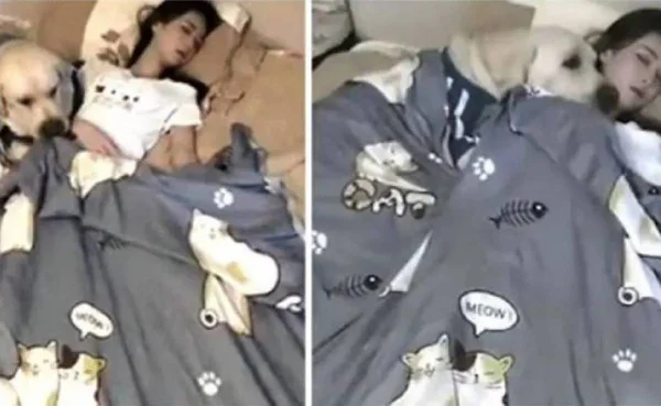 montagem com duas fotos de mulher deitada na cama com cachorro