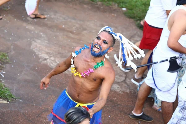 Cães asiáticos gigantes bombam na web com cliques impressionantes