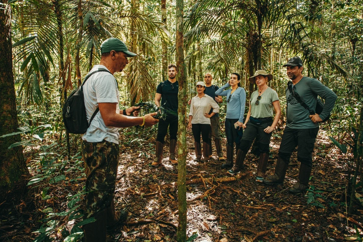 Experiência na floresta aproxima visitantes da natureza amazônica Experiência na floresta aproxima visitantes da natureza amazônica