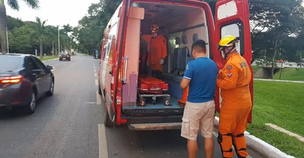 Galho cai de árvore, acerta carro em movimento e fere motorista no DF