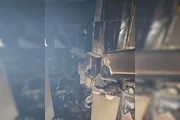 De acordo com relatos de testemunhas, o acidente foi marcado por dois estouros em sequência. O primeiro ocorreu no momento em que a proprietária acendeu o fogão De acordo com relatos de testemunhas, o acidente foi marcado por dois estouros em sequência. O primeiro ocorreu no momento em que a proprietária acendeu o fogão