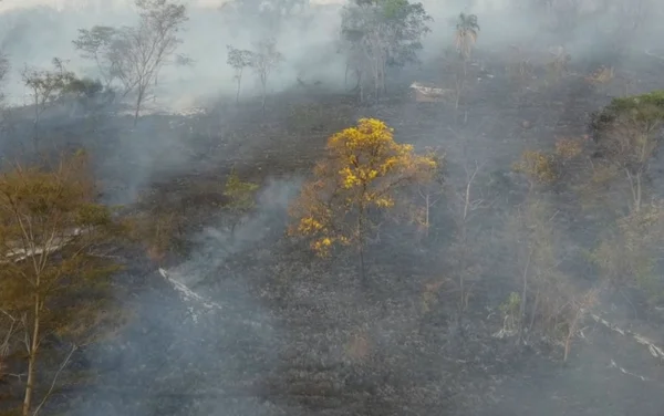 goias incendio parque