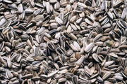 A nutricionista elenca as propriedades do alimento