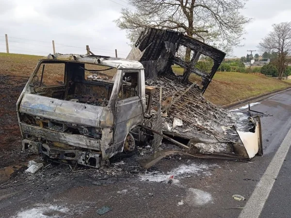Imagem colorida mostra carcaça de caminhão que pegou fogo em rodovia de São Paulo; veículo carregava 30 mil filhotes de codorna - Metrópoles