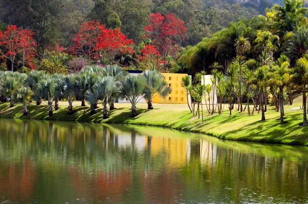 Instituto Inhotim