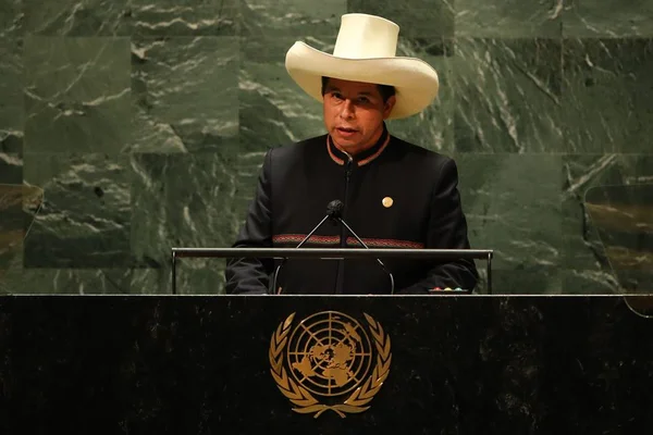 O presidente peruano Pedro Castillo