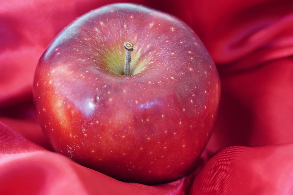 A maçã é uma fruta com alto teor de antioxidantes A maçã é uma fruta com alto teor de antioxidantes