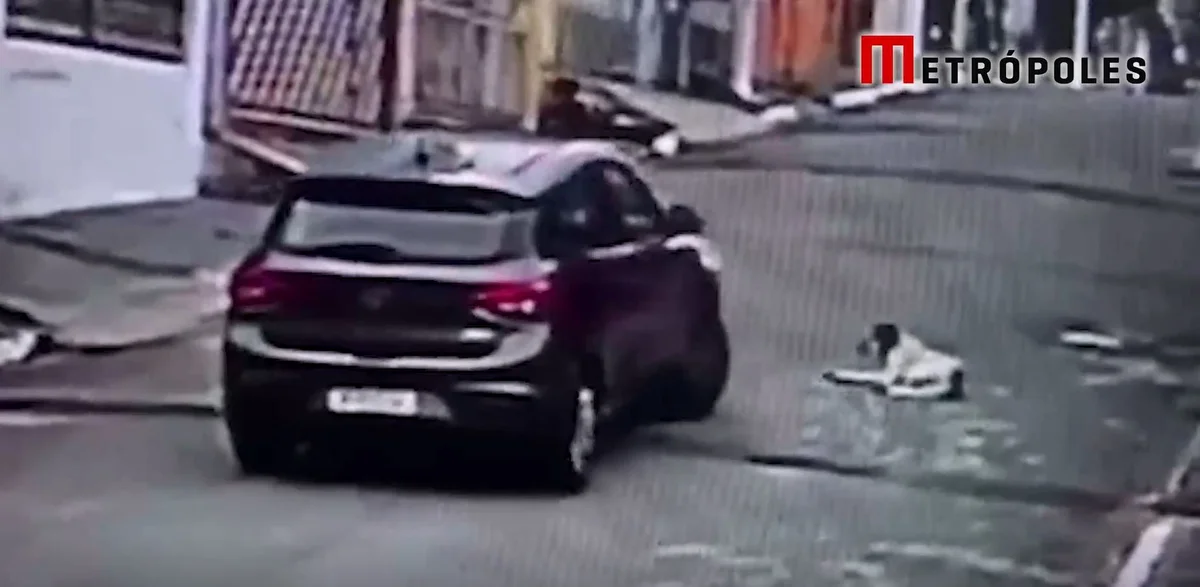 Vídeo: nigeriano é preso após atropelar e matar cão de propósito em SP - imagem 3 Vídeo: nigeriano é preso após atropelar e matar cão de propósito em SP - imagem 3