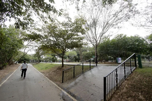 Parque de Cuiabá continua fechado para investigação de mortes de macacos