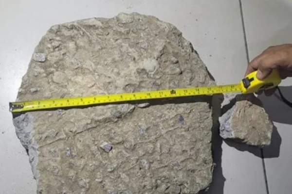 Imagem mostra pedra que paciente psiquiátrico teria atirado em pms - Metrópoles