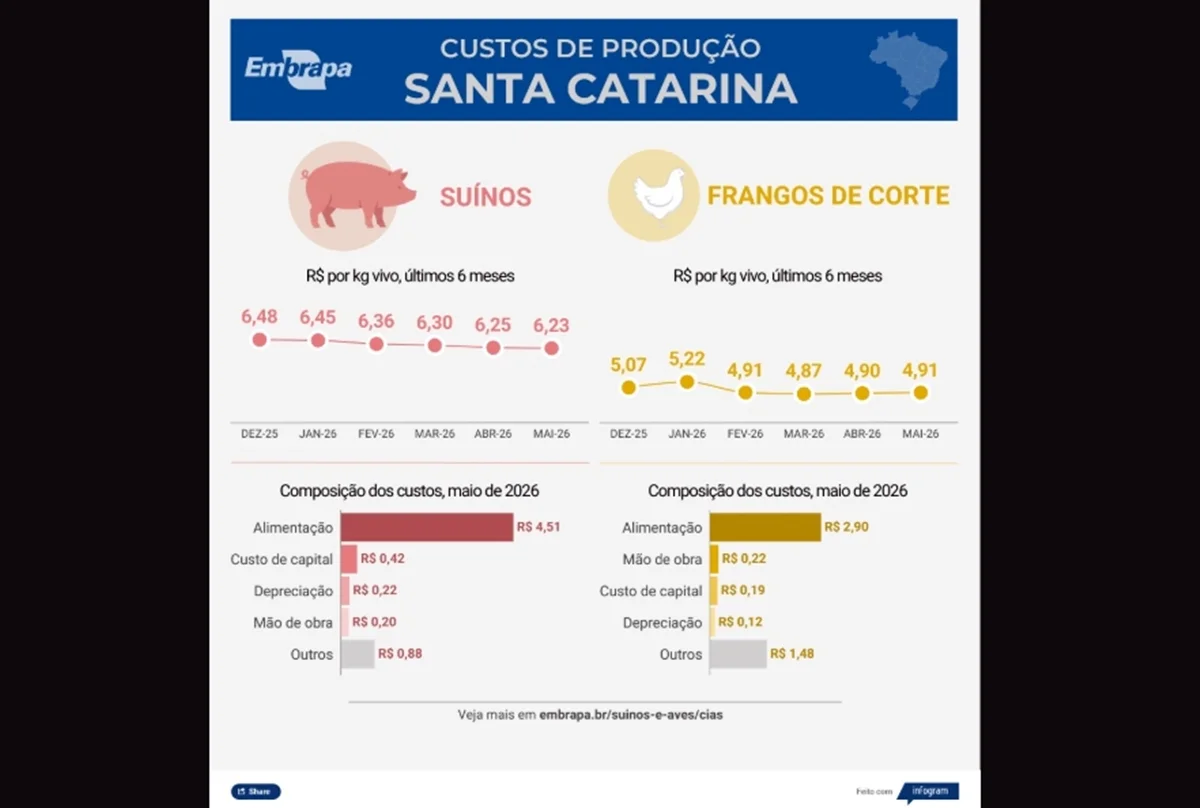 Embrapa: custos de produção de suínos em SC Embrapa: custos de produção de suínos em SC