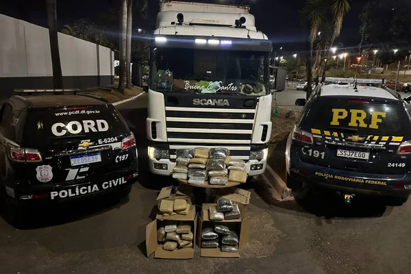 Operação da PCDF e PRF flagra caminhão com R$ 3 mi em skunk na BR-060