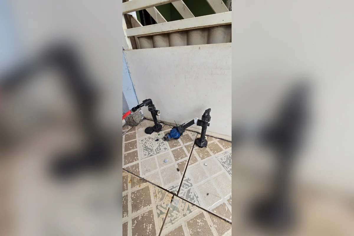 A vizinha responsável pela denuncia é a dona de casa Irene dos Santos, 63 anos. Ela narrou o momento de susto e descreveu a situação como "cenas de um filme de terror" A vizinha responsável pela denuncia é a dona de casa Irene dos Santos, 63 anos. Ela narrou o momento de susto e descreveu a situação como "cenas de um filme de terror"