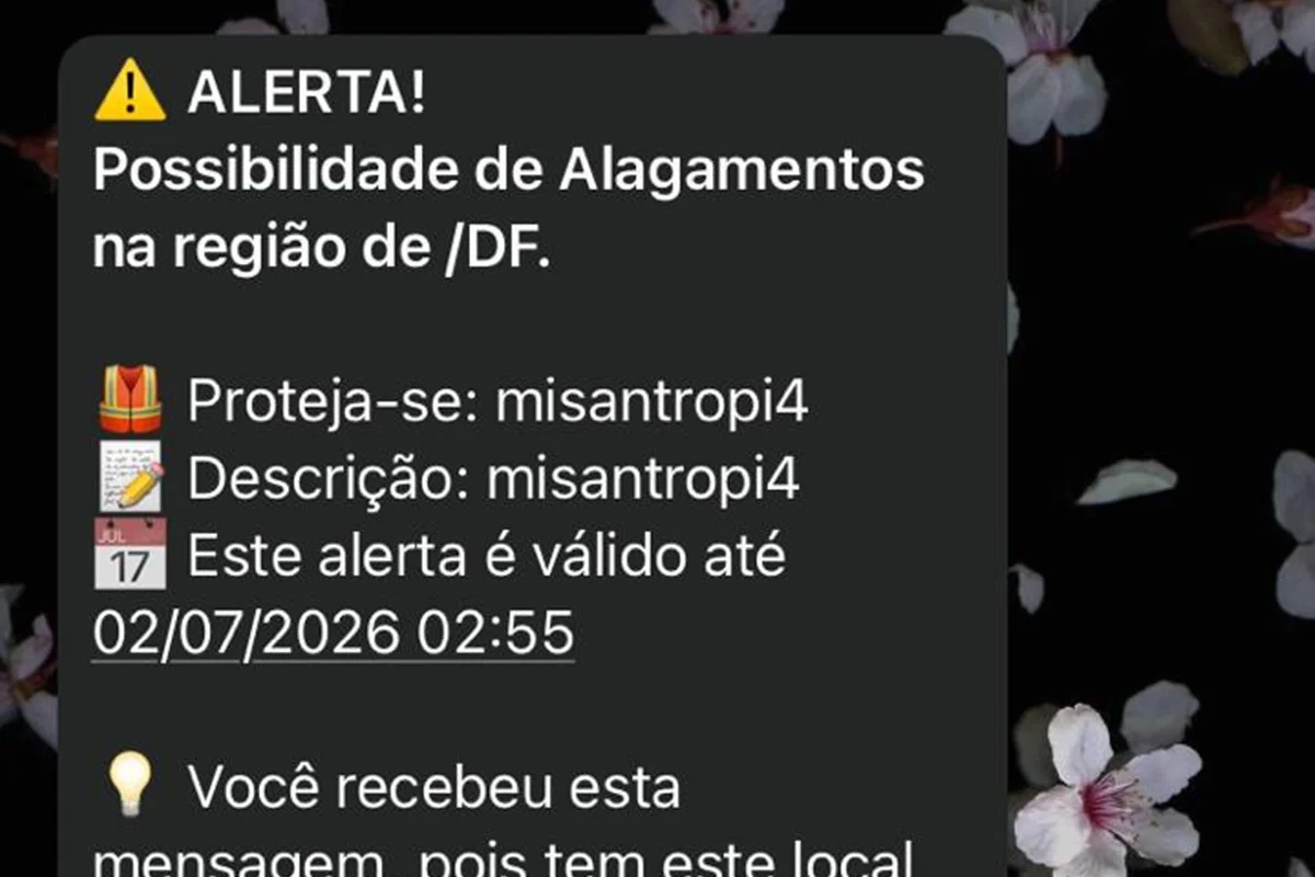 Governo confirma invasão a sistema da Defesa Civil de disparos de alertas