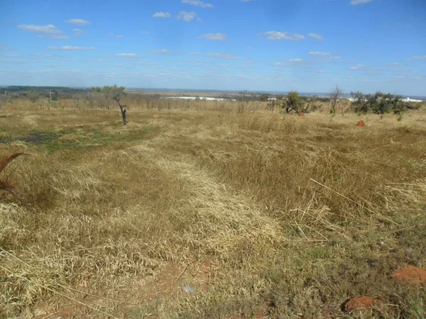 Lote Polo JK Leilão Terracap