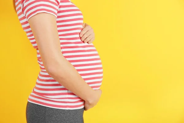 Você sabe o que é toxoplasmose? Conheça os perigos