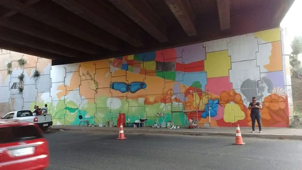 Viaduto Israel Pinheiro, em Vicente Pires, ganha obra de arte