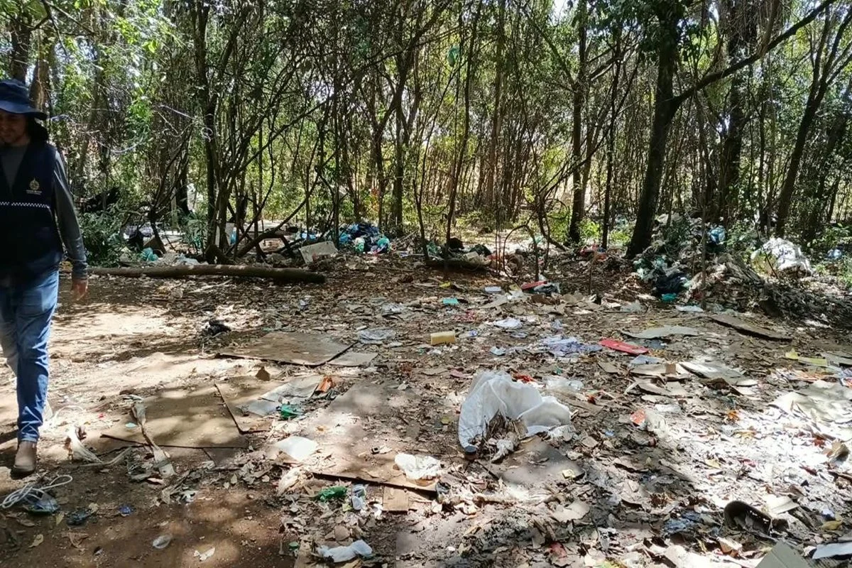 GDF promoveu a desocupação da Matinha, local classificado como área de preservação ambiental GDF promoveu a desocupação da Matinha, local classificado como área de preservação ambiental