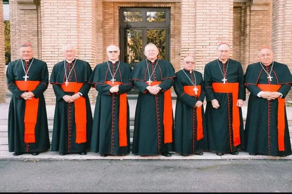 Cardeais Brasileiros Conclave Papa