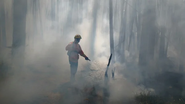 Bombeiros combatem incêndio em área próxima à Torre Digital
