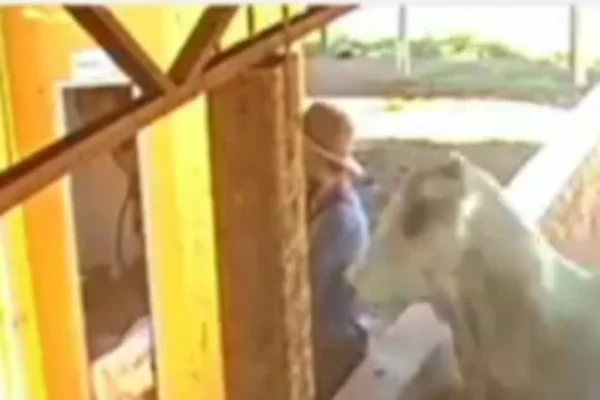 imagens câamera de segurança