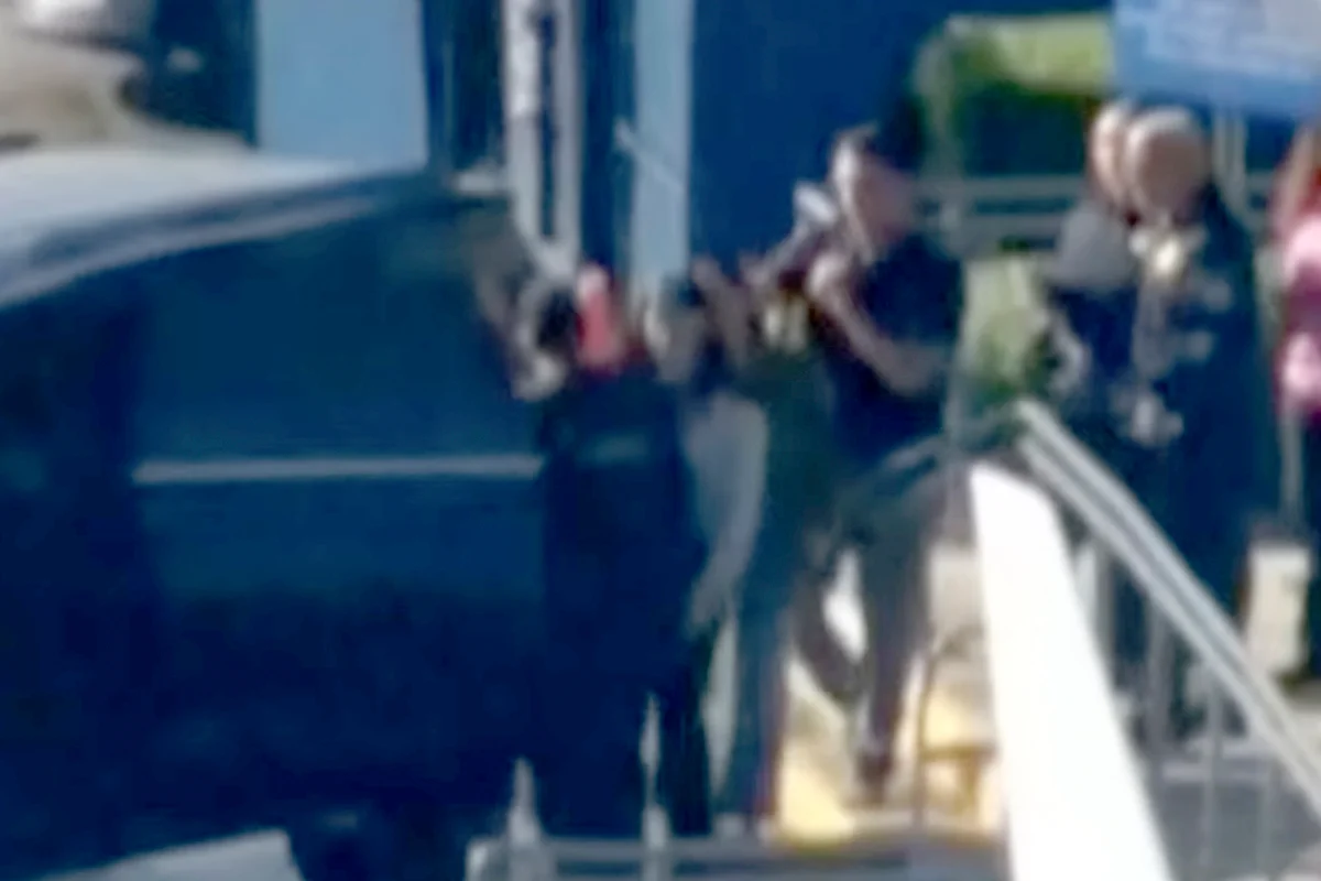 Deputado italiano questiona cidadania de Flávio e irmãos Bolsonaro - imagem 6 Deputado italiano questiona cidadania de Flávio e irmãos Bolsonaro - imagem 6