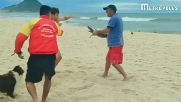 Jacaré usado como arma na praia do Recreio