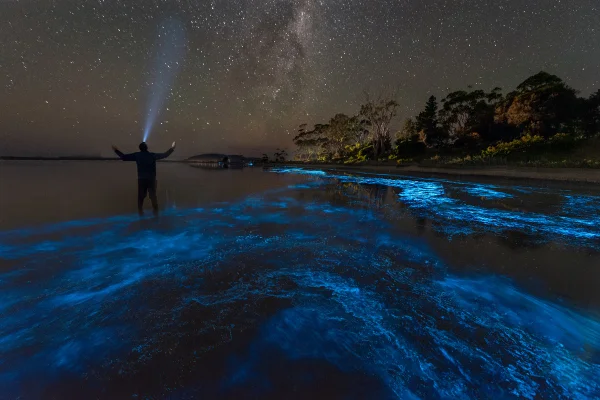 Imagem colorida de maré bioluminescente - Metrópoles