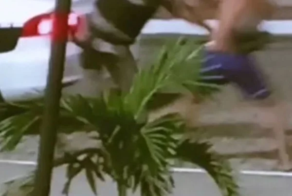 Vídeo: homem agride policial ao reagir durante abordagem na Paraíba