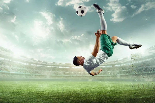 Palmeiras
