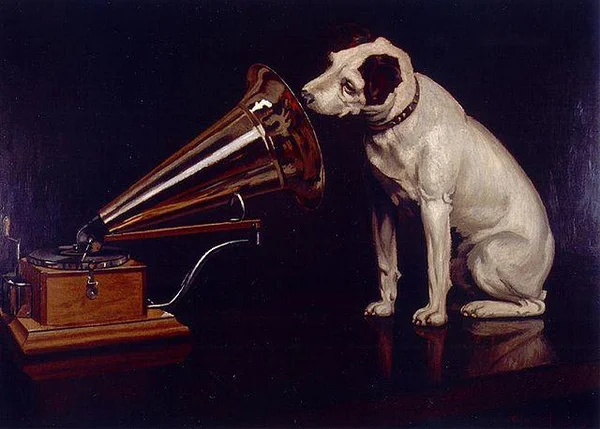 Cachorro ouve a voz do dono