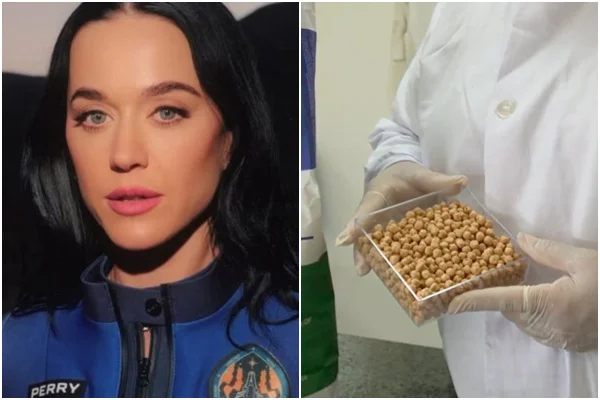 Katy Perry foi ao espaço com batata doce e grão-de-bico brasileiros