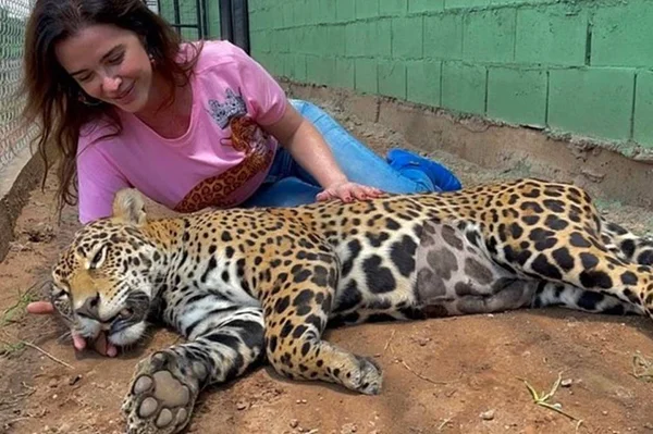 luma de oliveira adota onça-pintada em goiás