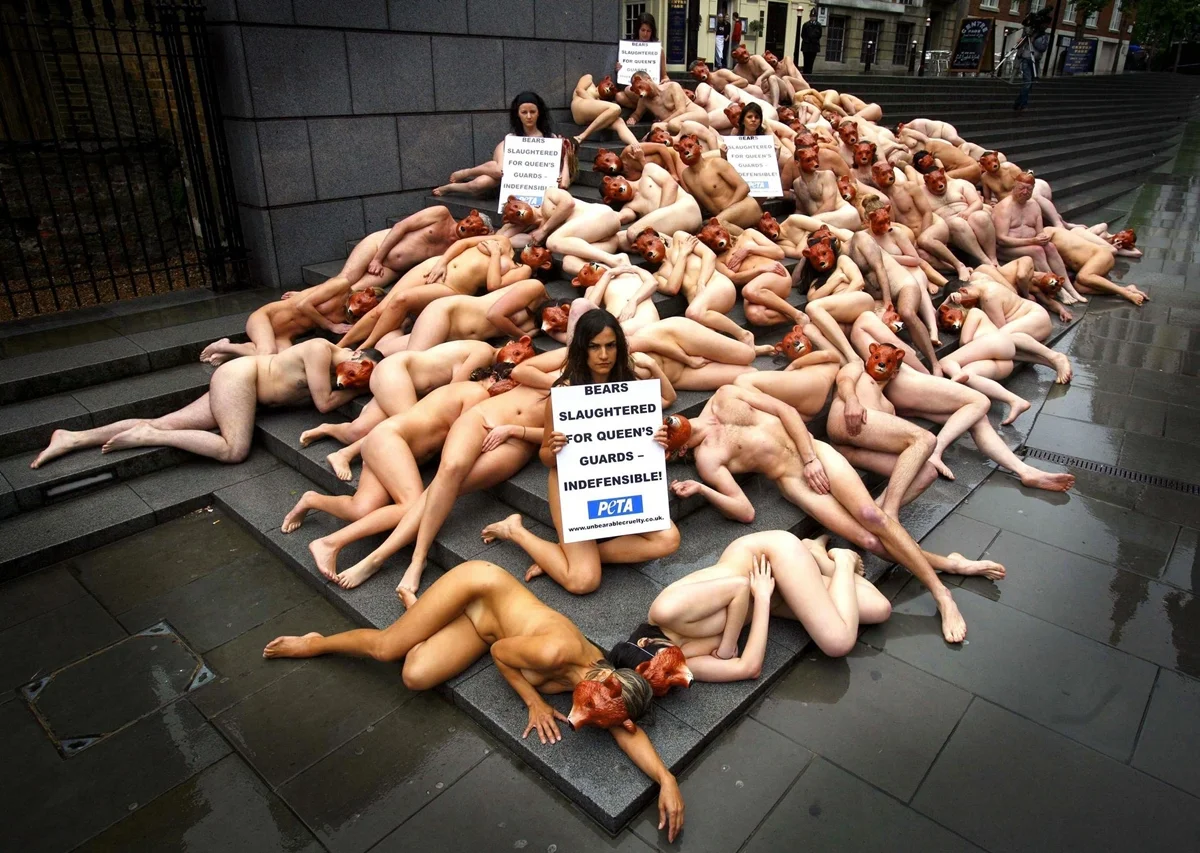 Apoiadores da PETA realizam um protesto “die-in” nus, usando apenas máscaras de urso e segurando cartazes em diferentes idiomas com a mensagem “Ursos são abatidos para os guardas da rainha – Indefensável”, próximo à Catedral de São Paulo, em Londres Apoiadores da PETA realizam um protesto “die-in” nus, usando apenas máscaras de urso e segurando cartazes em diferentes idiomas com a mensagem “Ursos são abatidos para os guardas da rainha – Indefensável”, próximo à Catedral de São Paulo, em Londres