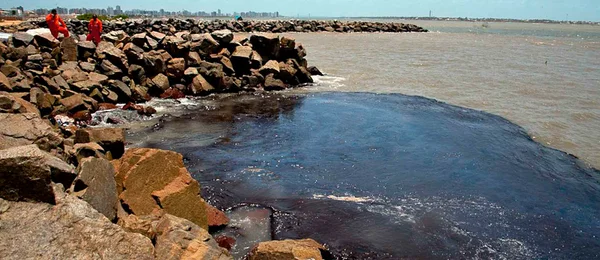 Óleo retirado de praias vira combustível industrial em Pernambuco