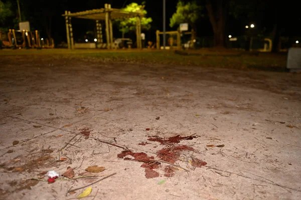 Adolescente morre após ser esfaqueado em latrocínio na Asa Sul Metropoles