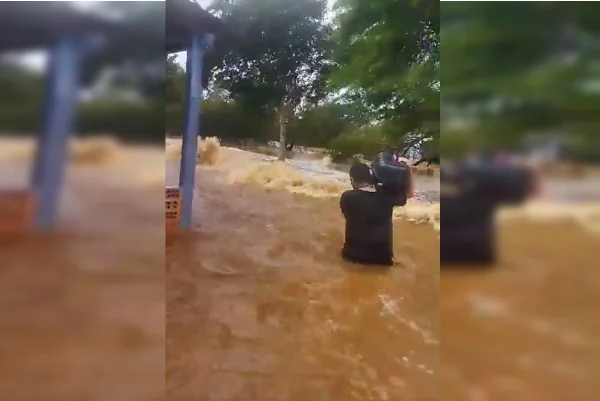 O video mostra um dos resgate dos 9 gatos que estavam dentro de uma casa/Metrópoles