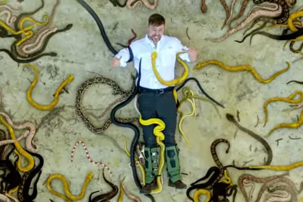 Imagem colorida de influencer do YouTube repleto de serpentes venenosas