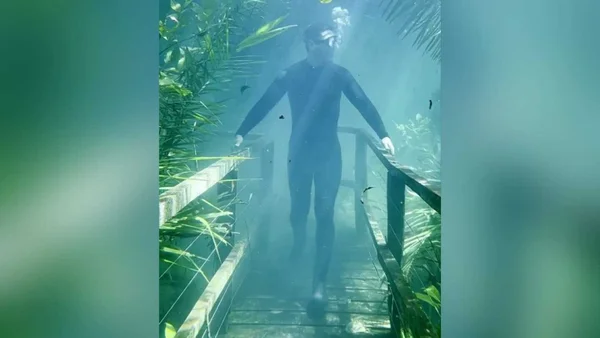 Vídeo: trilha fica submersa em MS e fotógrafo “anda” debaixo d’água