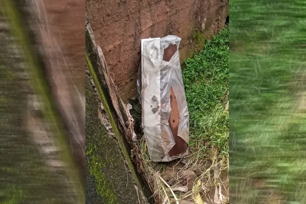 Imagem colorida,Caixão caiu em córrego- Metrópoles
