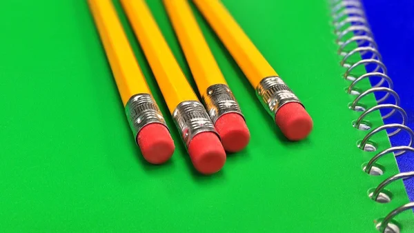 MEC divulga resultados preliminares do Censo Escolar 2015