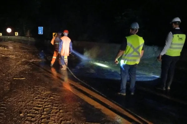 Rodovia Mogi-Bertioga é liberada após deslizamento e queda de árvore