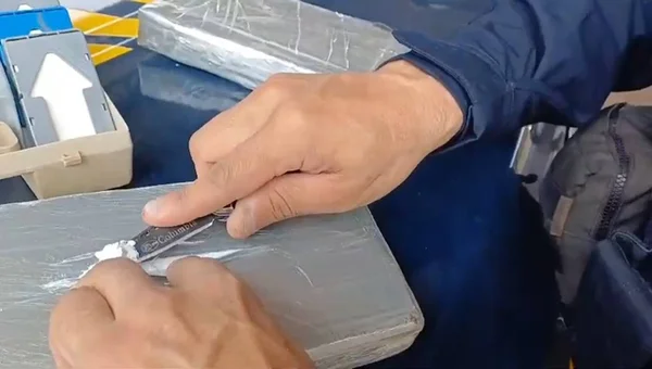 imagem colorida gravida presa cocaina onibus goias