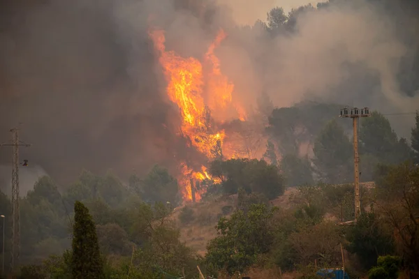 Calor na Europa já matou mais de mil e terá “apocalipse” na segunda