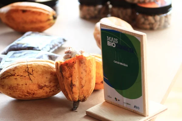 1º +BIO Conecta discute valorização da biodiversidade na cozinha