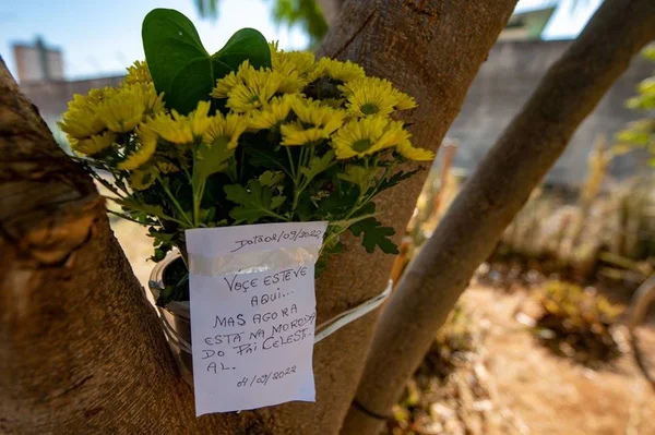 Flores amarelas e bilhete em tronco de árvore