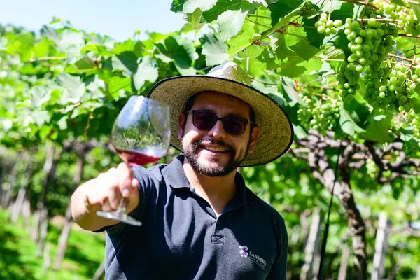 Vinícola no meio do Lago Norte lança vinho natural 100% feito no DF